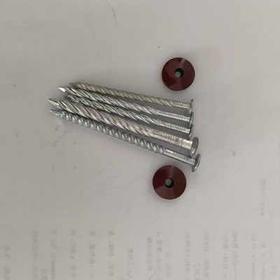 Doppelkopfnagel helle Duplexnagel 50lb Veredelung Diamant Punkt Zwei Kopfnagel