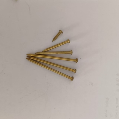 Spezialbau Nagel angepasste Länge 15 mm-120 mm